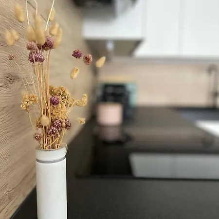 Vege App Apartmán Pula