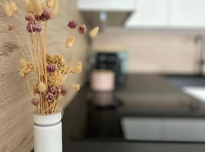 Vege App Lägenhet Pula